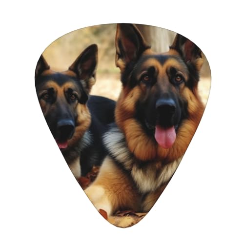 Médiators de guitare en vrac 3 épaisseurs avec boîte de rangement pour basse et guitare