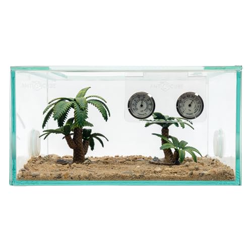 ANTCUBE Deko Baumfarn Set 2 STK.