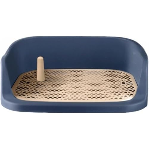 pgCg[ ybggC ǃv[gt gC Ch g[jO pgC{bNX gCg[jO pbhz_[ O\ ~ |ȒP ȒP R  O (D)