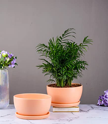 Image of Nurturing Green Modern Minimalistic Pastel 7.25 Inch Wide 'Millennial' Ceramic Pot (Blush Pink) for Home, Indoor Decor & Gifting (Without Plants & Comes with Bottom Plate)