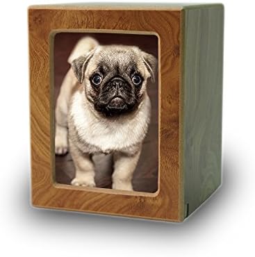 pet ashes photo frame