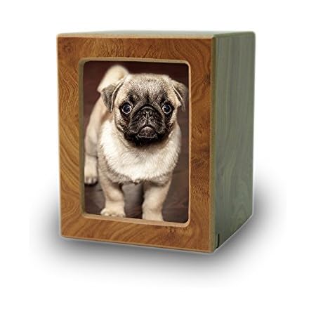 pug urns for ashes