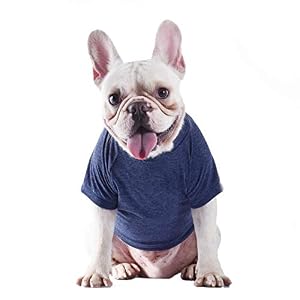 Star Wars for Pets Yoda Wisdom Dog Tee | Dog Shirt for Large Dogs | Size Large | Soft, Cute, and Comfortable Dog Clothing and Apparel, Cute Dog Clothes Star Wars for Pets Yoda Wisdom Dog Tee | Dog Shirt for Large Dogs | Size Large | Soft, Cute, and Comfortable Dog Clothing and Apparel, Cute Dog Clothes