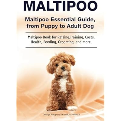 Maltipoo. Maltipoo Essential Guide, from Puppy to Adult Dog. Maltipoo Book for Raising, Training, Costs, Health, Feeding, Grooming, and more.