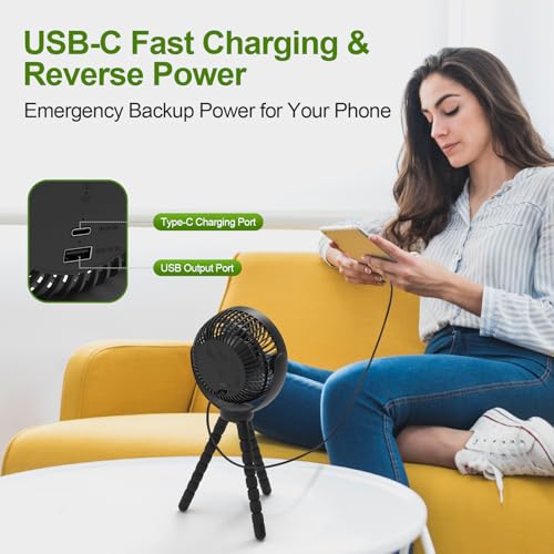 Lovegoo Rechargeable Golf Cart Fan