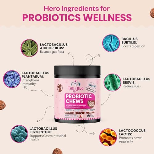 Image of Probiotic Soft Chews Supplement for Dogs | Six Probiotic Strains for Gut Health & Digestion | Chicken Flavor | Supports Immune Function | 30 Soft Chews