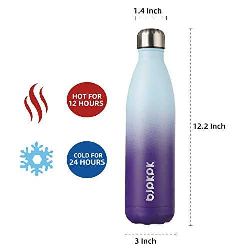 Image of BJPKPK 25 oz Insulated Water Bottle, Stainless Steel Flask, Leak Proof