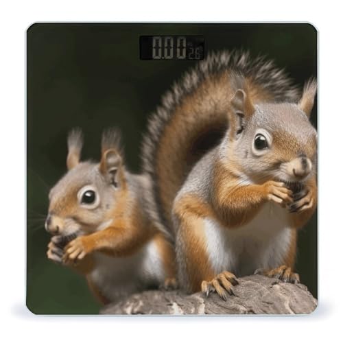 Báscula Digital de Baño Animal Ardilla miniatura 1
