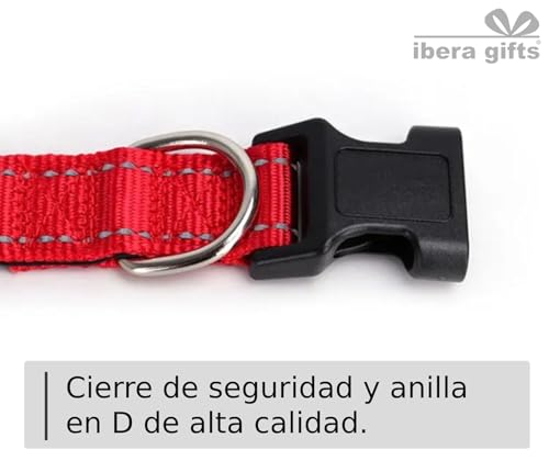 Miniatura 8 de Ibera Gifts - Collar Perro Personalizado Con Nombre Para Mascotas Medianas, Reflectante, Ajustable De 35 A 50 Cm, Grabado Láser, Seguro Y Cómodo Rojo, M Mediano