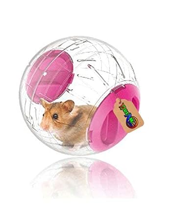 DreamAuro Transparent Running Cum Jogging Cum Exercise Ball for Hamster, Dwarf, Gerbil, Mice and Mouse (18.5 cm, Pink)