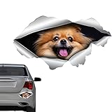 Facynde Hund knacken Autoaufkleber - lustige Persönlichkeit Bulldog Aufkleber, lustiger Persönlichkeits-Hund -Auto-Aufkleber für Wand-Auto-Fenster-Glas-Dekoration