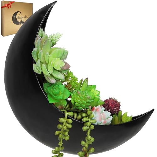 Wall Planter - Window Planter - Hanging Moon Planter - Boho Hanging Planters for Indoor Plants, Succulents, Air Plant, Cactus, Faux, Artificial Plants -Witchy Gifts for Women, Birthdays,Plant Lovers