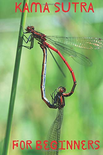 KAMA SUTRA for Beginners. Dot Grid Notebook (6