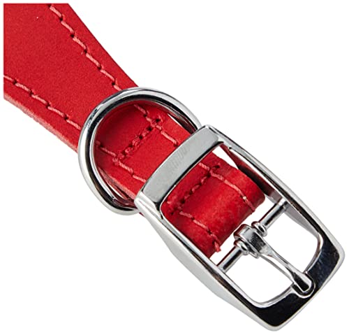 BBD Luxuriöses Hundehalsband für Rennhunde, rot
