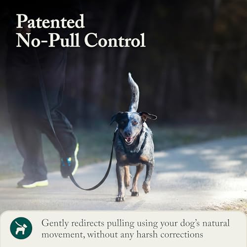 Image of Sporn No Pull Dog Harness, Durable Nylon Mesh Harness for Medium Dogs, No Choke Design, Padded Restraint Sleeves, Adjustable Fit, Easy On /Off, Ideal for Medium Breeds, Black