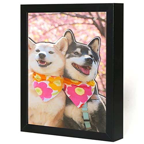 Telarana 額縁 立体額 ボックスフレーム フォトフレーム