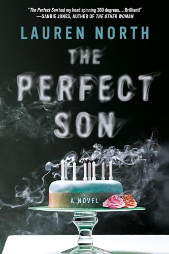 The Perfect Son view 2