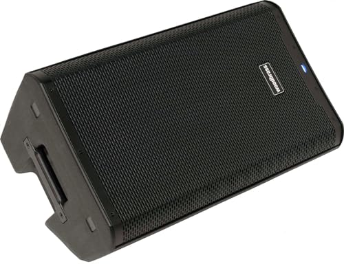 WOODBRASS DXPRO 12 Lautsprecher, aktiv, verstärkt, leistungsstark, Bluetooth, 30,5 cm (12 Zoll) – Klasse D 118 dB – robust, tragbar, 3 Eingänge, kabellos, DSP – DJ, Konferenz, Konzert