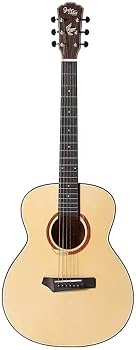 Amazon | Gopher Wood Guitars i110 アコースティックギター OOO