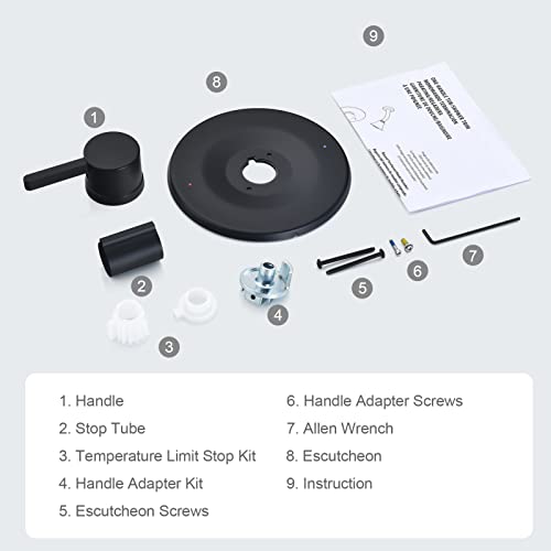Kit garniture douche compatible Moen Posi-Temp noir mat haute finition durable