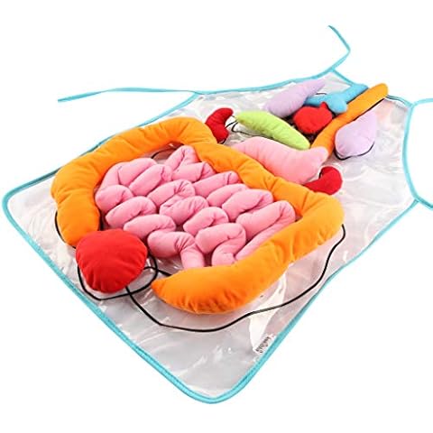 AIPINQI Organ Apron Toy, Early Educational Anatomy Apron Preschool Teaching Aid Human Body Awareness Plush Toy Cover