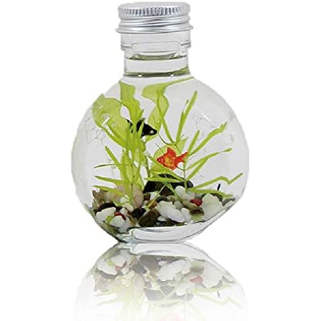 Amazon 金魚 ハーバリウム 手作り キット 説明書 付き アクア ハーバリウム プリザーブドフラワー オンライン通販
