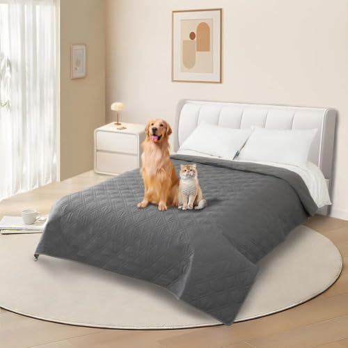 DUJUIKE Wasserdichter Sofabezug für Hunde, 100% wasserdichte Hundedecke, Sofaschutz, Bettdecke mit Antirutschpartikeln, Möbelschutz für Hunde, Katzen (Grau, 208-260cm(1 Pack))