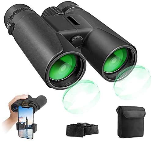 Jumelles Adultes, Jumelles Compactes 12x42 HD pour l'observation des Oiseaux Randonnée Pédestre Concerts Itinérants Sports,Objectif BAK4 Prism FMC avec bandoulière Cover