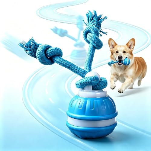 Interactive Dog Ball Toy,Moving DogToys (Blue) by TVM - Used condition - US$16.14