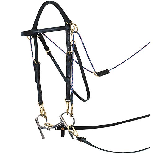 Billy Royal Arabian Horse Sidecheck Training Bridle | Snap On Bit Ends | Browband Style Tack | Measures 43