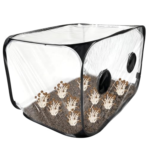 D-Line Kabelbox EU/CTUSMLW/SW, Kabelmanagement-Box zum Kabel verstecken bei Kabelsalat – Klein, Weiß