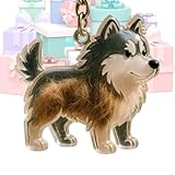 ドッグ ヘア コレクター キーホルダー - ペット毛髪キーホルダー記念品 | 透明ボトル ひげ・抜け毛収納 ペットメモリアルギフト カプセル型毛髪収納容器 遺毛入れ 思い出保存 メモリアルケース ギフト