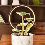 Pièce décorative polyvalente : avec un design élégant et élégant, cette fontaine à eau d'intérieur sert de pièce décorative polyvalente adaptée à divers environnements intérieurs. Son apparence élégante et son débit d'eau gracieux en font un excellent choix pour les bureaux, les salons, les chambres ou les salles à manger, ajoutant une touche de raffinement à n'importe quel décor.