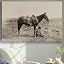 Texas Cowboy with a Horse