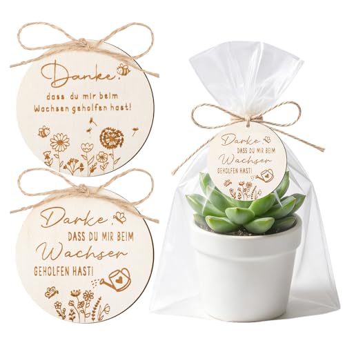 KINGLAKE 4 Stück Holzanhänger Danke mit Spruch danke dass du mir beim wachsen geholfen hast Holz Blumentopf Dekorationen Geschenke zum Schulabschluss Schulanfang Lehrertag und Muttertag