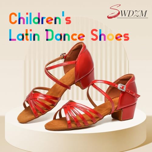 SWDZM Girls Latin Dance Shoes Low Heels Ballroom Salsa Tango Professional Dance Shoes2