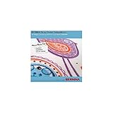 bernina express sbb 6 Designs kombiniert aus Cut-, Paint-, CrystalWork und Stickerei