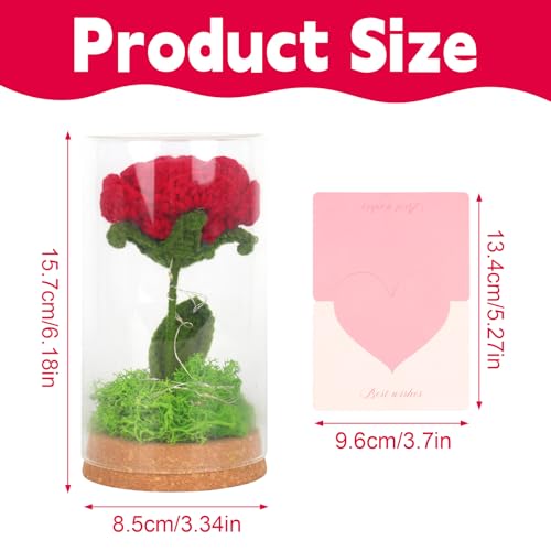 Hojalis Gehäkelte Blumen, Gehäkelte Künstliche Blumen Mit Licht, Ewige Rose Im Glas, Häkelblumen Mit Grußkarte,Handgemachte, Häkelblume Für Mama Frau Freundin, Jubiläum/Valentinstag Frauen