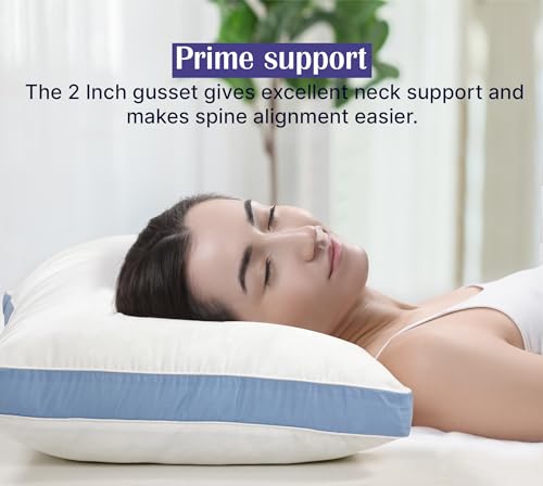 Image of ROYALE LINENS Pillows Standard Size Set of 2 -Bed Pillow for Sleeping -Cooling Pillow for Back, Stomach or Side Sleepers -Down Alternative Std Gusseted Pillows -Hotel Quality (20x26 Inches, Pack of 2)
