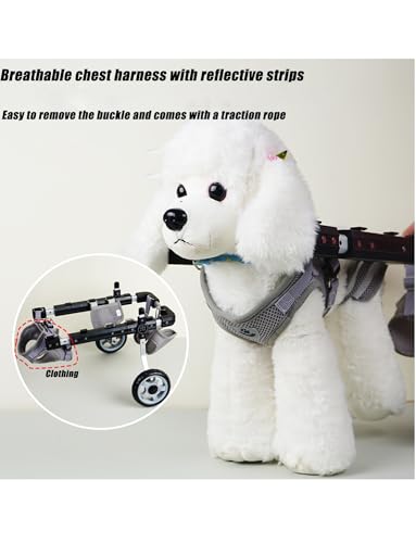 Silla de ruedas todo terreno para patas traseras, soporte ajustable con seguridad reflectante para mascotas pequeñas discapacitadas o lesionadas