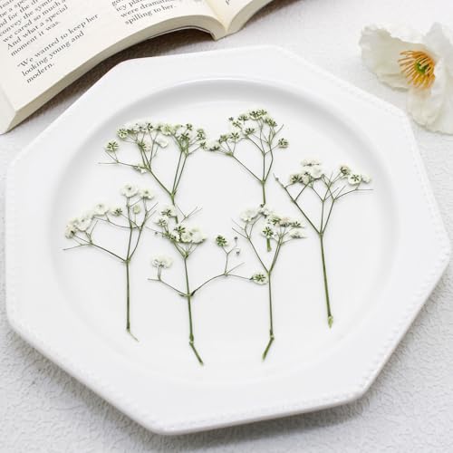 24 piezas de flores prensadas secas para manualidades miniatura 1