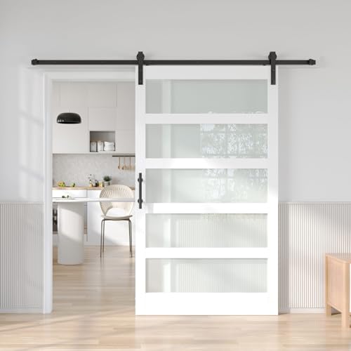 Fredbeck 48in White Glass Barn Door