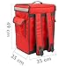 CityBAG - Mochila isotérmica 35 x 49 x 25 cm roja para...