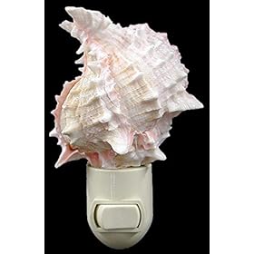 Seashell Night Light Real Pink Murex Shell Beach Decor w. on/Off Switch Beautiful Coastal Cottage 41gPSG5G8IL. SS280