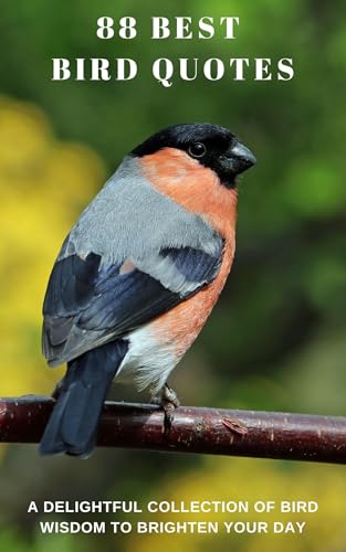 88 Best Bird Quotes: Timeless Words of Freedom, Hope, and Inspiration from the World of Birds