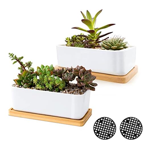 ARVINKEY White Ceramic Succulent Planters, Indoor and Outdoor Succulent Planters, Set of 2 Small Cactus Containers, Bonsai Pots, Flower Pots with Drainage Hole and Bamboo Bowl (No Plant)
