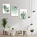 HZSYF Green Leaf Wall Art Prints - Framed Tropical Artwork Pictures Botanical Monstera Canvas Artwork Decor Photoes Brisk