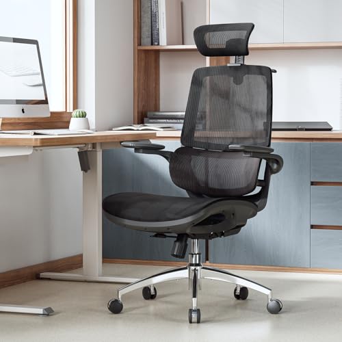 Image of SIHOO M59AS Ergonomic Office Chair, Desk Chair with 3D Flip-up Armrests, Computer Chair with Dual Back Design and Adaptive Dynamic Lumbar Support Black