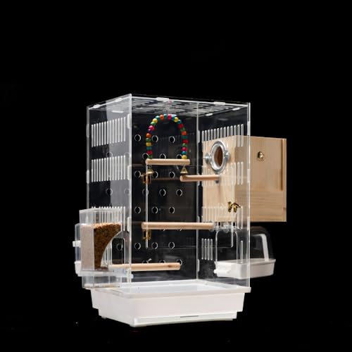 Ambety V^IEpm}ANP[WhHϏܕʑƒpWP[W (zCgB)