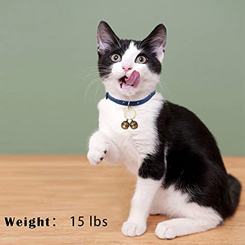 https://m.media-amazon.com/images/I/41gPcn8PWGS._SL500_.jpg
